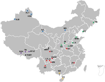 Population Structure, and Selection Signatures Underlying High-Altitude Adaptation Inferred From Genome-Wide Copy Number Variations in Chinese Indigenous Cattle